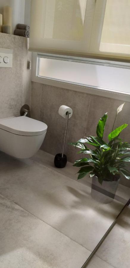 דירות אליקאנטה Atico Loft En Frente Al Mar Terraza Vista Espectacular מראה חיצוני תמונה